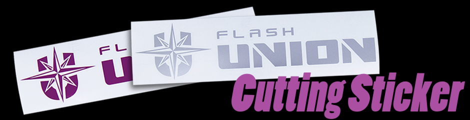 カッティングステッカー Cutting Sticker FLASH UNION